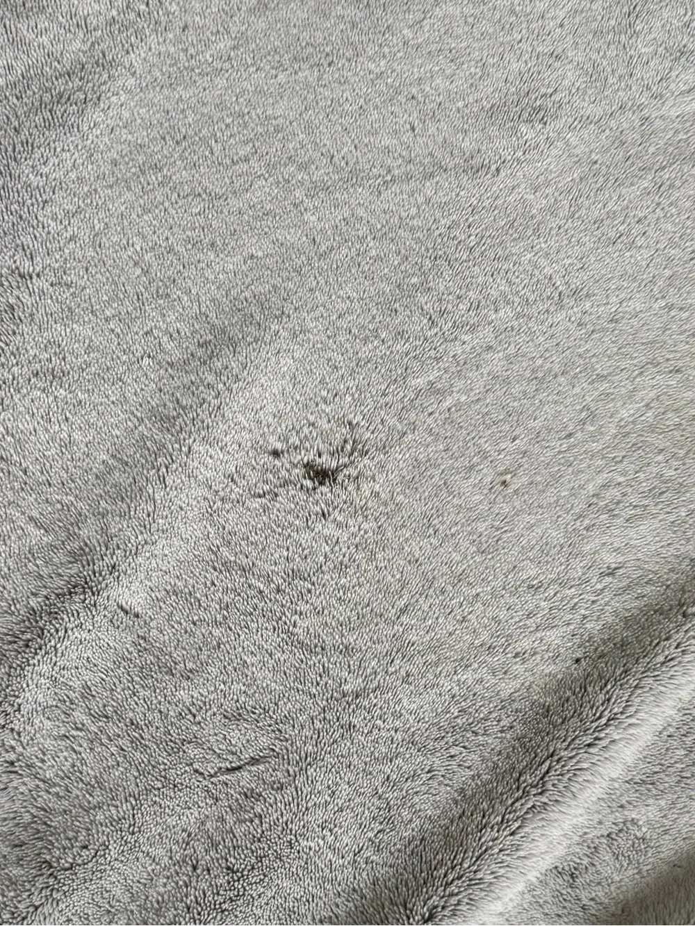 Berkshire Gray Plush Blanket